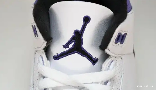 Iris 3 CT8532-105 Dark Jordan Retro CT8532-105 0705